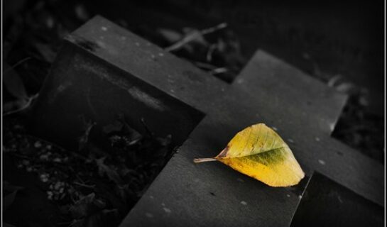 Beisetzungskosten – Heranziehung von Angehörigen