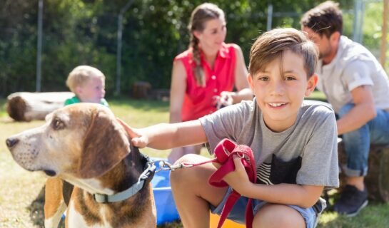 Tierkaufvertrag – Geburtsschaden ein Sachmangel im Sinne von § 434 BGB?