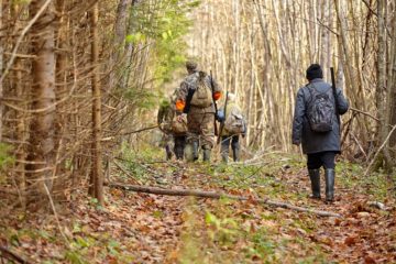 Jagdpachtvertrag: Schadensersatzpflicht bei vorzeitiger Vertragsbeendigung