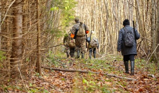 Jagdpachtvertrag: Schadensersatzpflicht bei vorzeitiger Vertragsbeendigung