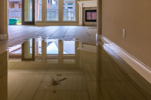 Trocknungskosten nach einem Wasserschaden – Ansprüche eines Wohnungsmieters
