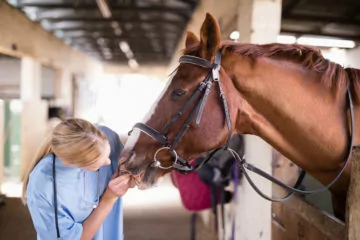 Tierarzthaftung – Darlegungslast und Beweismaß für groben Behandlungsfehler