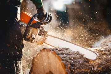 Haftung bei Arbeitsunfall – Baumfällarbeiten als gefährliche Tätigkeit