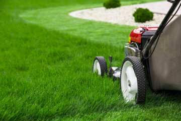 Betriebskostenabrechnung – Wirtschaftlichkeitsgrundsatz bei Gartenpflegekosten