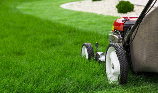 Betriebskostenabrechnung – Wirtschaftlichkeitsgrundsatz bei Gartenpflegekosten