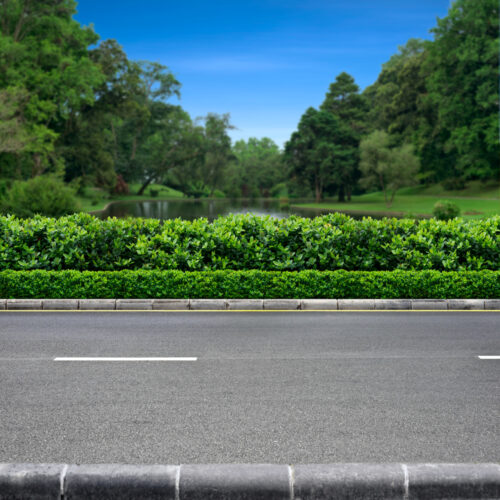 Verkehrssicherungspflicht - Freischneiderarbeiten am Straßenrand