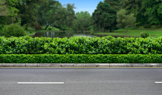 Verkehrssicherungspflicht – Freischneiderarbeiten am Straßenrand
