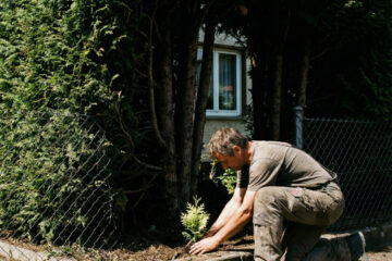 Verjährung von Beseitigungsansprüchen bei Hecken-Erneuerung und Klagebefugnis